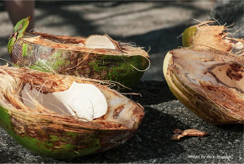 Trigliceridi vegetali di Cocco